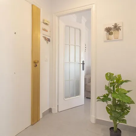 Appartement Front In With Wifi Torrevieja